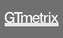 GT Metrix