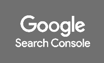 Google search console